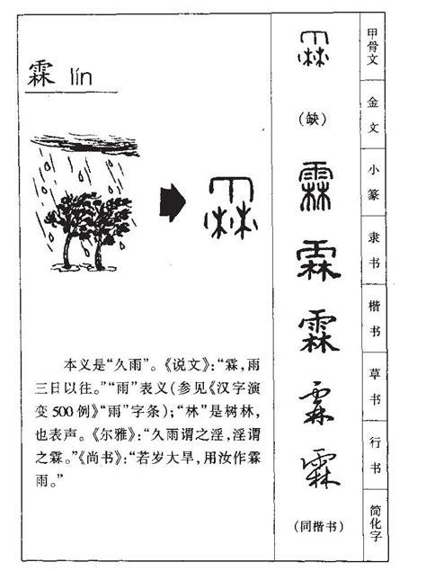 霖姓名學|霖字取名的寓意